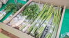「山居館夏野菜フェア開催決定‼️」