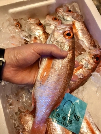 新鮮な魚介類を新潟から直送
店主自らがしっかり厳選しています「はるよし 和粋」
