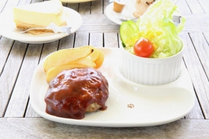 おしゃれランチ まいぷれ伊勢編集部おすすめランチ 伊勢 鳥羽 志摩 まいぷれ 伊勢 おしゃれランチ まいぷれ伊勢編集部おすすめランチ 伊勢 鳥羽 志摩 まいぷれ 伊勢