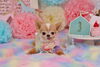 「Anniversary photo　(^O^)／」