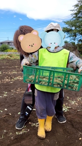 頑張ってとったどー!!「落花生収穫」