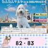 「『わんわんマルシェ』発売商品のご案内🐶✨」