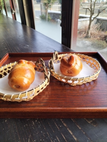 本日もオープンしてます 淡路島の洲本市で自家製にこだわって パンとプリンとチーズケーキをお出ししております コーヒー 紅茶も美味しいですよ ランチ カフェにもです Cafe Cache Cache カフェ カシューカシュ のニュース まいぷれ 淡路島 本日もオープンしてます 淡路島の洲本市で自家製にこだわって パンとプリンとチーズケーキをお出ししております コーヒー 紅茶も美味しいですよ ランチ カフェにもです Cafe Cache Cache カフェ カシューカシュ のニュース まいぷれ 淡路島