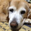 「今週もがんばりましょうー♪」