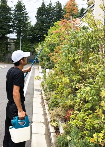 剪定以外の幅広いお庭のお悩みに対応いたします♪「沼口協緑堂」