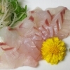 ひらめ（地物）