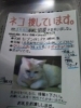 「【拡散 希望】【迷子猫】枚方市招提元町四丁目」