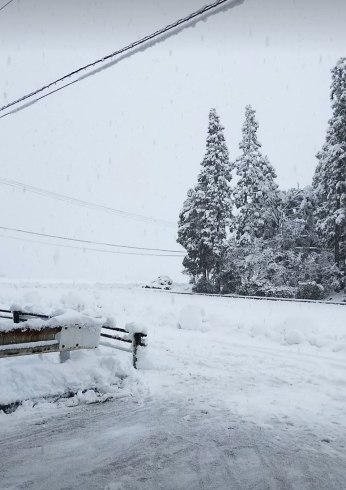 よく降る雪です「今年もご祈祷行ってきました( ・`д・´)」