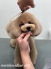 「冬のオプションキャンペーン　^o^」