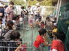 「移動動物園がやって来た！」