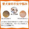 犬の不安や悩み「滑らない床で愛犬の足腰を守ろう！」