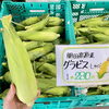 「開田高原産とうもろこし『グラビス』朝採り入荷！道の駅木曽福島」