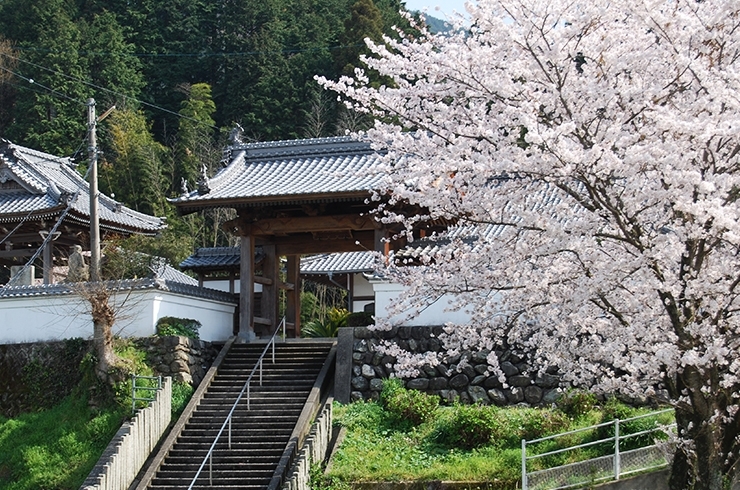 「曹洞宗 金龍山 興雲寺」周桑平野を見晴らす、洗心の寺