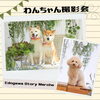 「【6/11（土）松江】Edogawa Story Marche　★　おしゃれなブース、美味しいお店が集まって楽しいひと時を♪　」