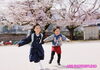 「桜🌸ロケーション、絶賛撮影中🌸」