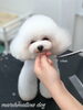 目が閉じていきます…「秋のオプションキャンペーン　（＾ν＾）」