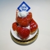 いちごのタルト（12月頃～春限定）