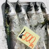 「魚魚市場鮮魚コーナーおすすめ商品「イトヨリ・あじ」です♪」