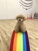 ハッピーちゃん😁「ましゅまろ幼稚園🐾パート３」