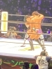 「プロレスにみる福祉のあり方【施設長の独り言シリーズ（障害者施設）】」
