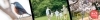 公園情報