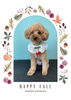 「Dog salon mofu mofu　余市町」