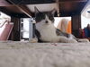 「おはようございます🐱　買取のべおか　高価買取」