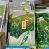 旬の音 銘茶　深蒸し茶　