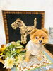表情豊かなももちゃん、可愛すぎます♡「Dankeトリミングをご利用のももちゃん♡ふわふわモフモフです♪」