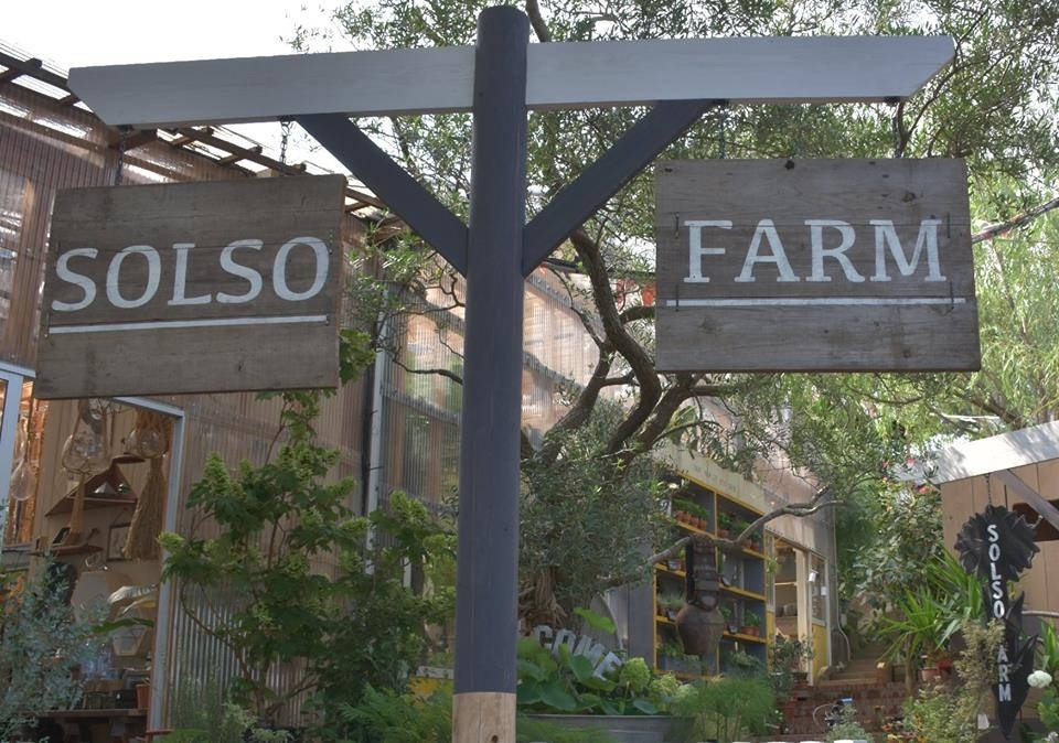 ガーデニングファン必見 宮前区野川の Solso Farm ソルソファーム ぐるっとみやまえ 宮前区民が 宮前区の魅力的な情報を紹介 宮前ぽーたろう 川崎市宮前区 ガーデニングファン必見 宮前区野川の Solso Farm ソルソファーム ぐるっとみやまえ 宮前区民が 宮前区の魅力的な情報を紹介 宮前ぽーたろう 川崎市宮前区
