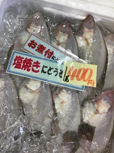 「魚魚市場鮮魚コーナーおすすめは「生サンマ」です♪」