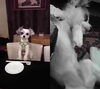 「ぼちぼちでんな～」