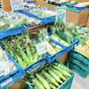 「農産物直売所では地元産の野菜がたくさん入荷します！」