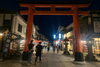 「🏮✨ 伏見稲荷大社 本宮祭のご案内 ✨🏮」