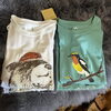 「コットンTシャツ入荷しました」
