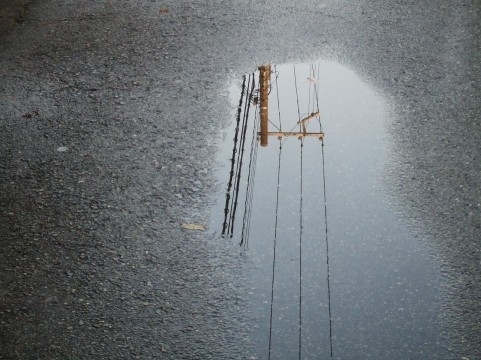 「雨の日の恐怖(･∀･；)」