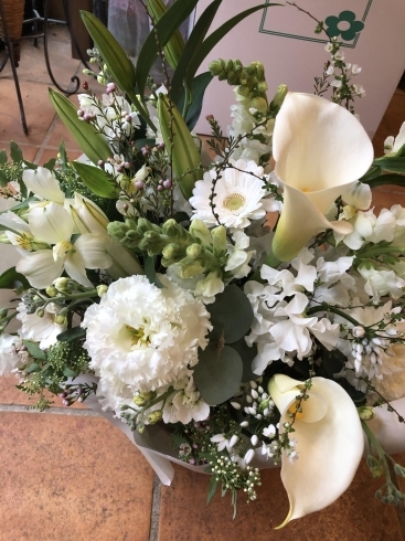 フラワーギフトお届けします 本八幡のお花屋さん フラワーギフトが人気 芽ぶき屋 本八幡店のニュース まいぷれ 市川市 フラワーギフトお届けします 本八幡のお花屋さん フラワーギフトが人気 芽ぶき屋 本八幡店のニュース まいぷれ 市川市