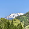 「新緑の季節！明日5/18は市場の日イベント開催します！」