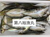 鯵「本日鮮魚入荷致しました。」