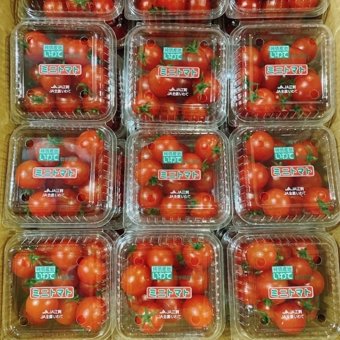 「「ミニトマト」の入荷も始まりましたよー！ 岩手県産　JA江刺「ミニトマト」」