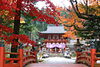 「高野山の紅葉♪」