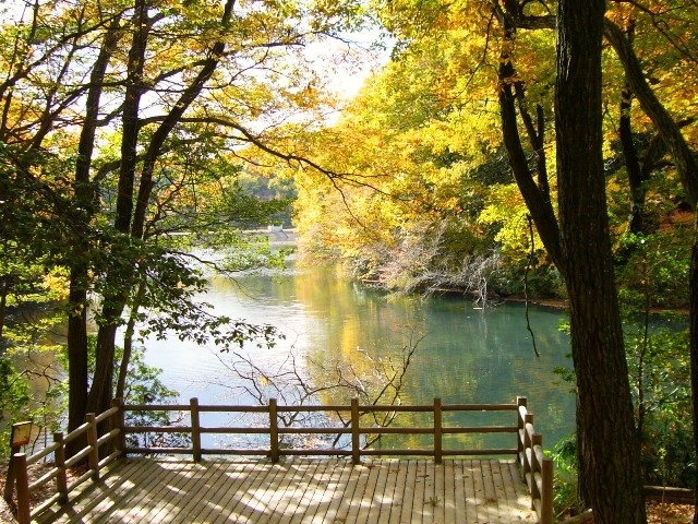 「四條畷市花屏風5カ年計画植樹（第1回）・おおさか山の日 生駒花屏風ハイキングにご参加ください！」