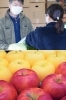 「佐々豊青果」