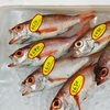 「魚魚市場鮮魚コーナーおすすめは「水イカ・ノドグロ」です♪」