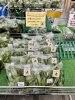 「⋆͛ 📢 ᐠ お知らせ ᐟ  サラダほうれん草、まもなく販売終了です🧤🧺」