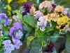 「2026年、今年最初のアトリエオープンと春のお花のお知らせ」