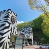 【富岡】群馬サファリパーク
