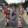 なでしこStyle:夏価格