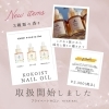 こだわり抜かれた成分と香り♡「✨12月限定！ネイルオイル10％OFFキャンペーン✨〜ネイル静岡葵区｜コースプランあり◎駅近でアクセスも良好☆プライベート空間で贅沢なひとときを♡」