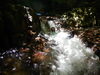 「あぁ大井野川の水の冷たさよ」